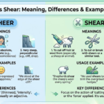 Sheer vs Shear: Meaning, Differences & Examples