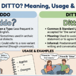 Diddo or Ditto Meaning: Usage & Examples Explained