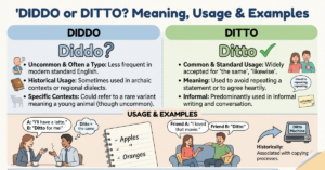 Diddo or Ditto Meaning: Usage & Examples Explained