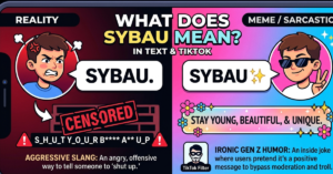 What Does SYBAU Mean in Text & TikTok?